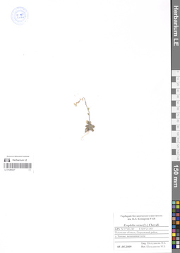 LE 01280227