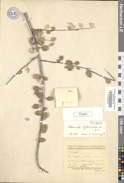 LE 01009622