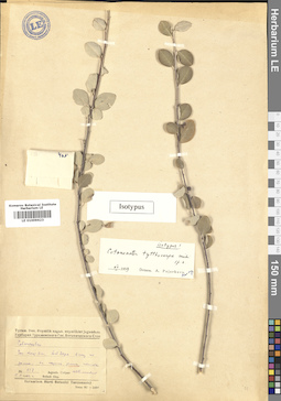 LE 01009623