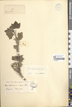 LE 01280242