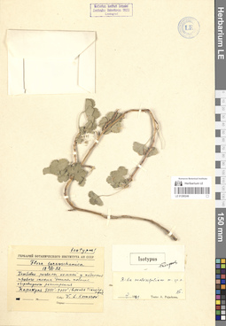 LE 01280249