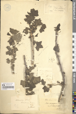 LE 01280254