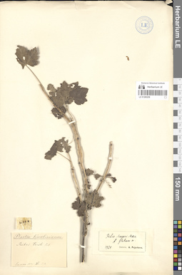 LE 01280258