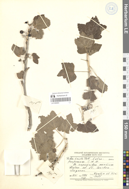 LE 01280263
