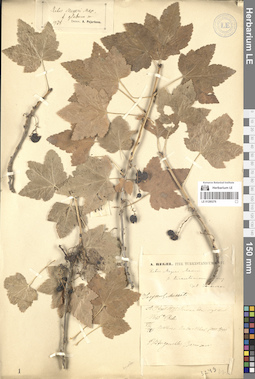 LE 01280276