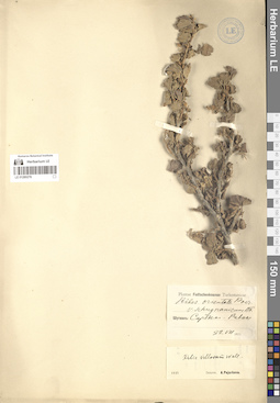 LE 01280278