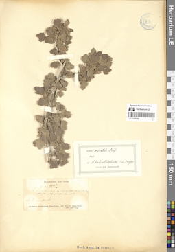 LE 01280292