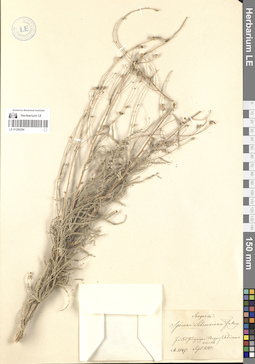 LE 01280294
