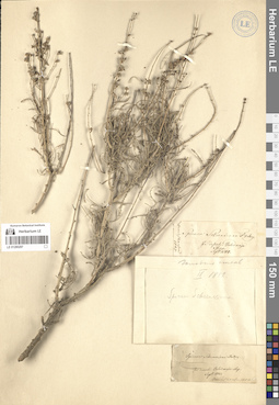 LE 01280297