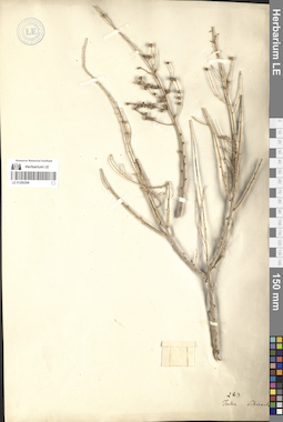 LE 01280298