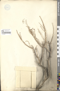 LE 01280301