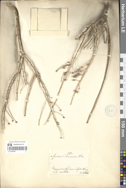 LE 01280302