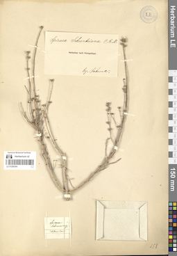 LE 01280304