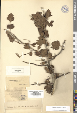 LE 01020218