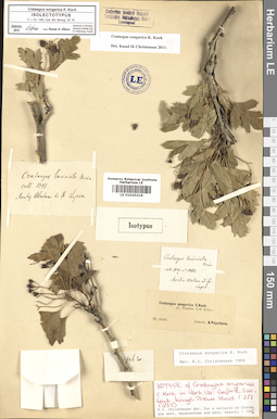 LE 01020219