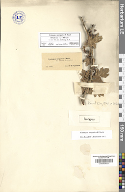 LE 01020221
