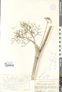 LE 01065881
