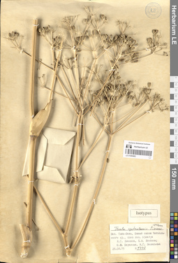 LE 01065883