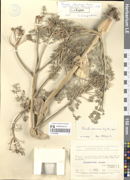 LE 01065886