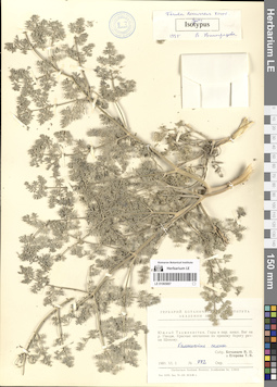 LE 01065887