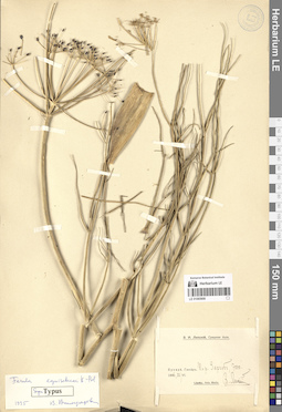 LE 01065908
