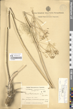 LE 01065919