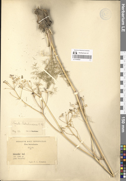 LE 01065920