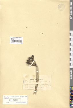 LE 01065921