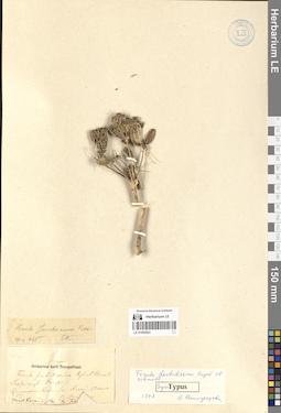 LE 01065923