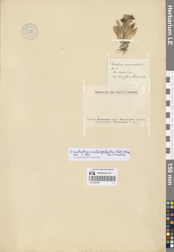 LE 01285193