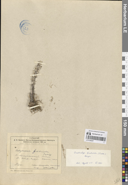 LE 01285207