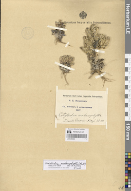 LE 01285280