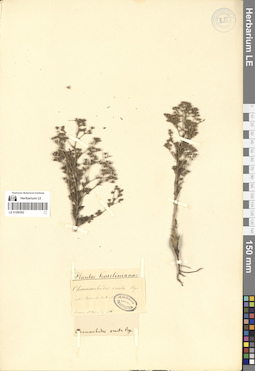 LE 01280382