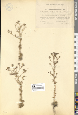LE 01280386