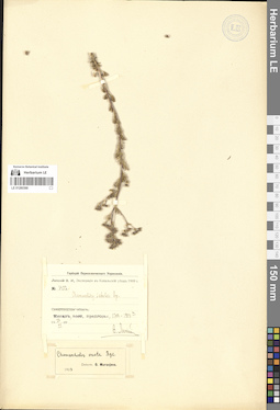 LE 01280388