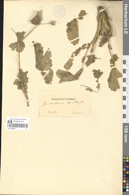LE 01280401