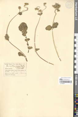 LE 01280405