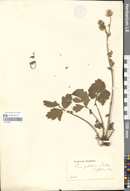 LE 01280407