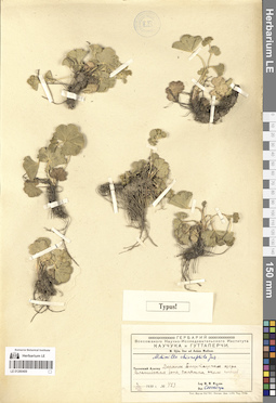 LE 01280409