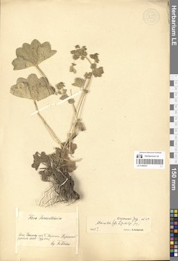 LE 01280433