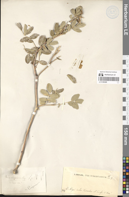 LE 01280488