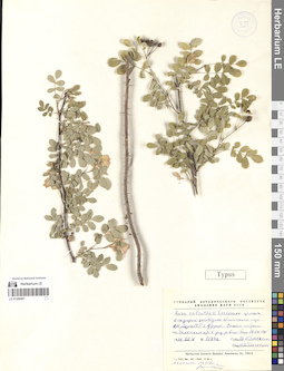 LE 01280497