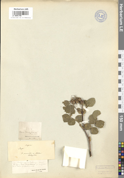 LE 00051759