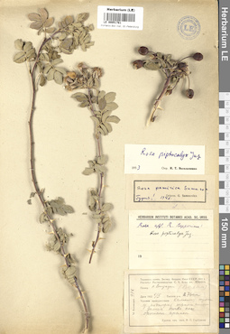 LE 00051761