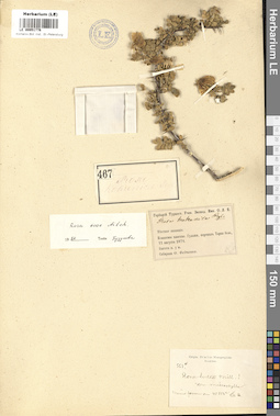 LE 00051776