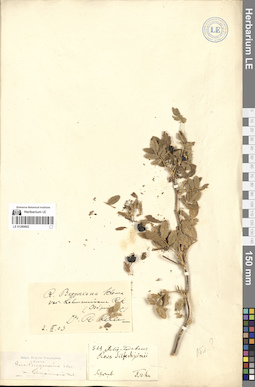 LE 01280602