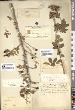 LE 01280604