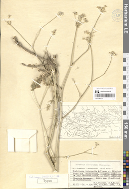 LE 01065751