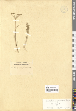 LE 01065754