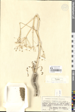 LE 01065756